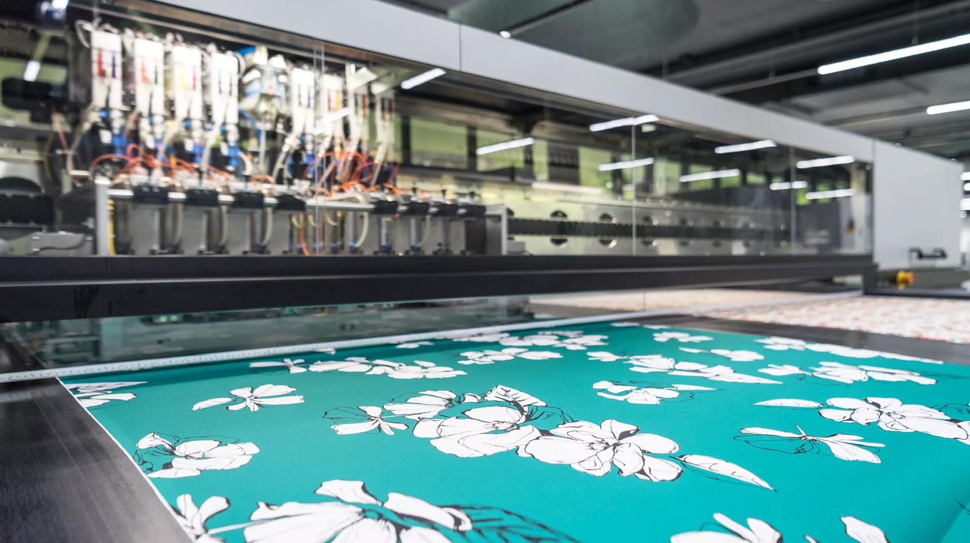 Alpha Wallpaper Edition